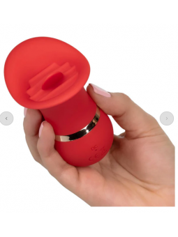 CALEXOTICS Charmeur de...