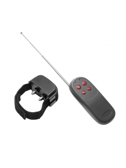 MASTERS SERIES Cock Shock -...