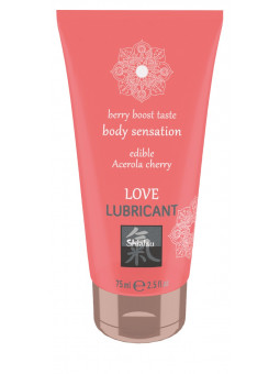 SHIATSU Lubrifiant Edible Love